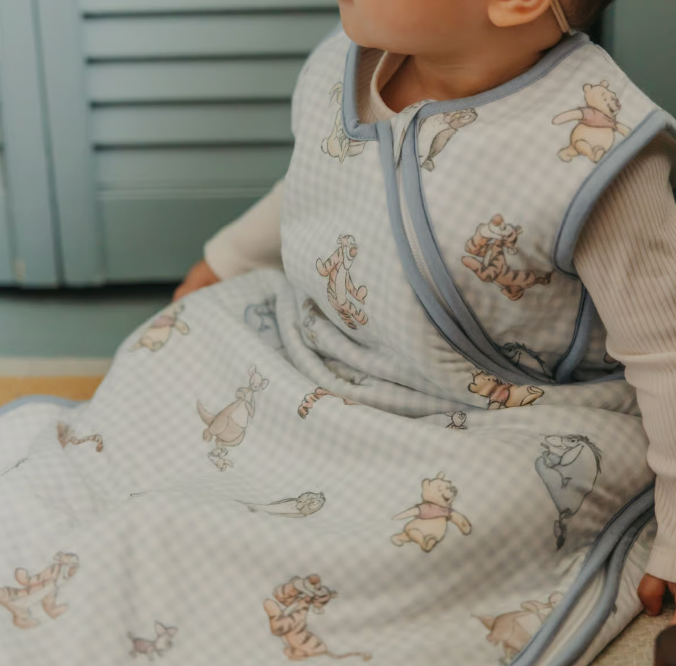 Winnie the Pooh & Friends Sleep Bag