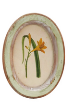 Oval Floral Frames