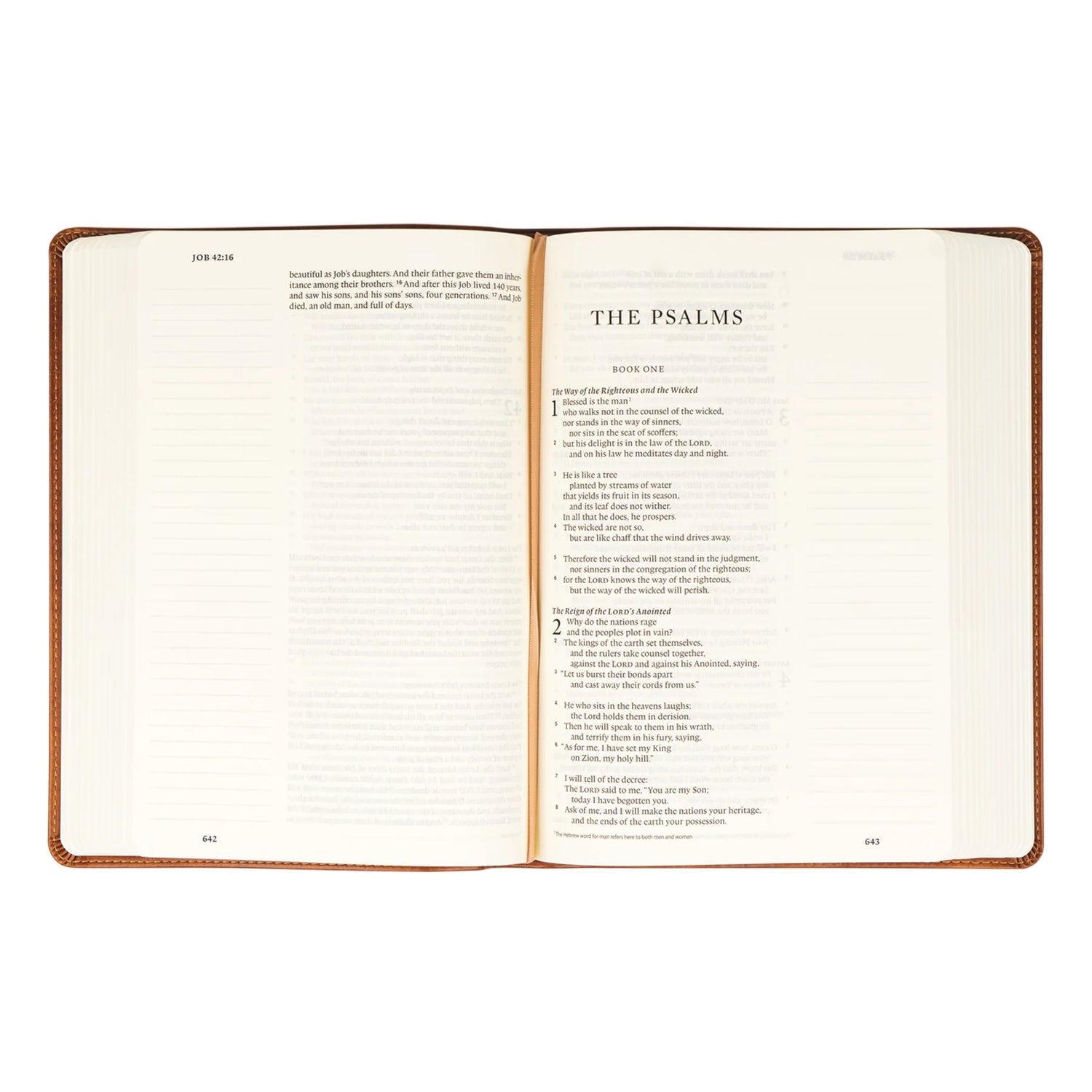 ESV Large Print Journaling Bible: Sierra