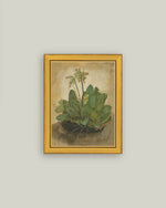 Tuft of Cowslips Framed Artwork