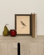 Bird Framed Artwork