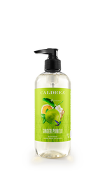 Caldrea Hand Soap