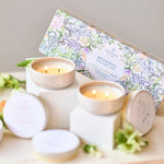 Renewal Discovery Trio Set