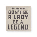 Stevie Said Art Poster