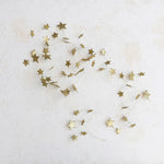 Glittered Paper Star Garland