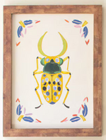 Framed Beetles Paintings