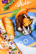 Tennessee Vols Skinny Scarf