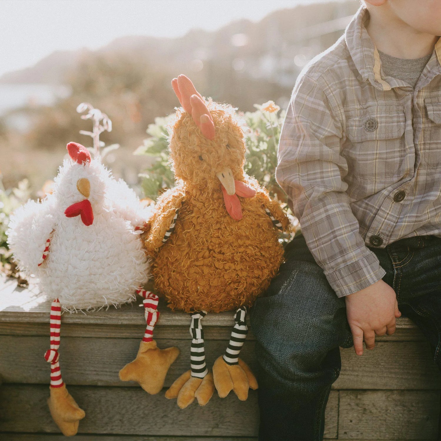 Randy The Rooster