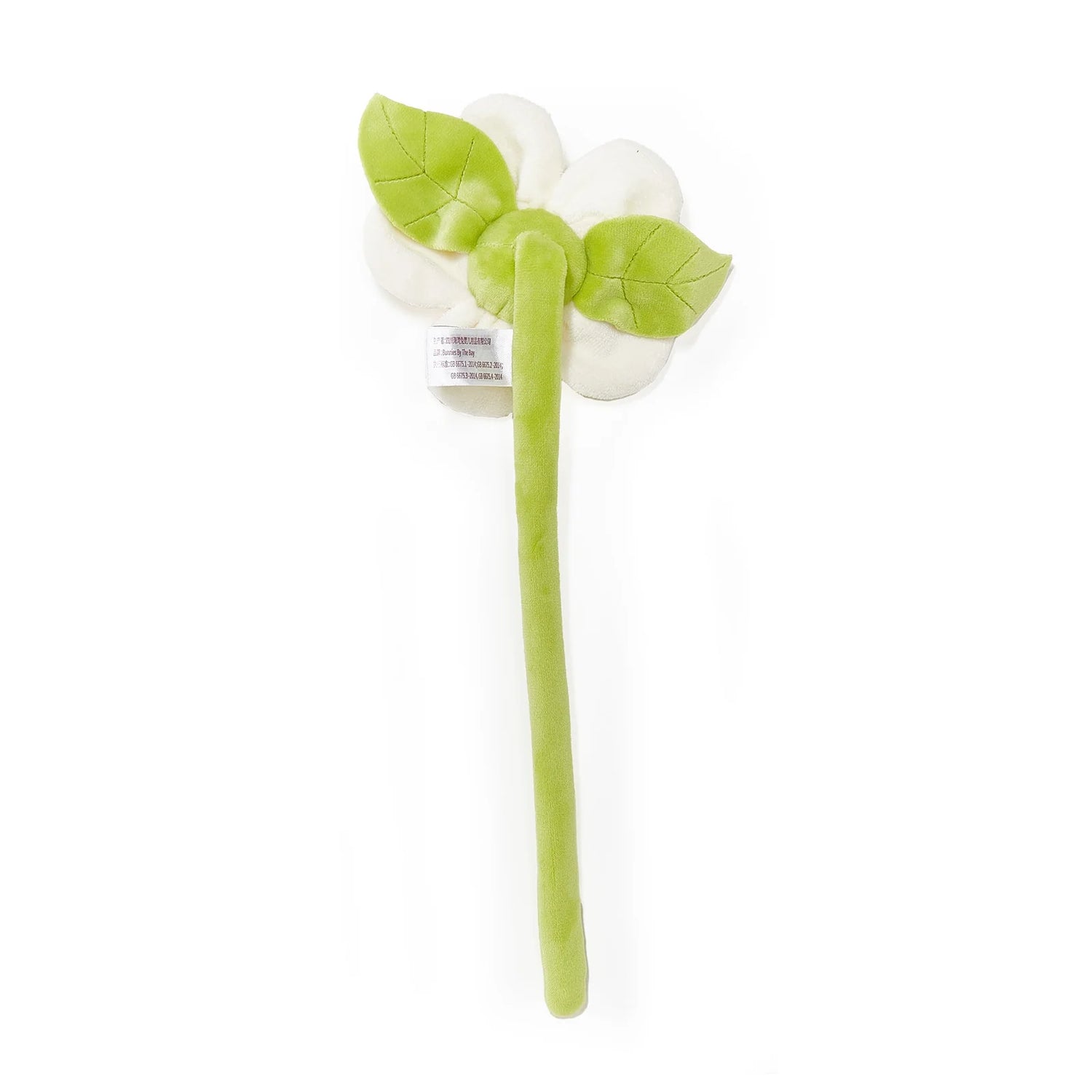 White Flower Stem