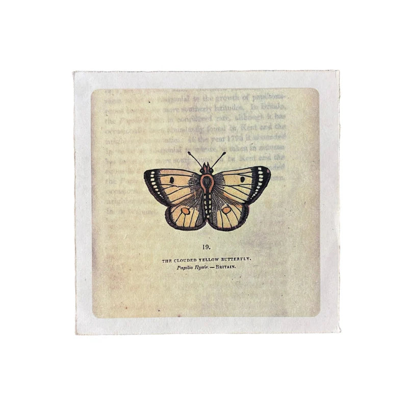 Yellow Butterfly Wall Paper Print