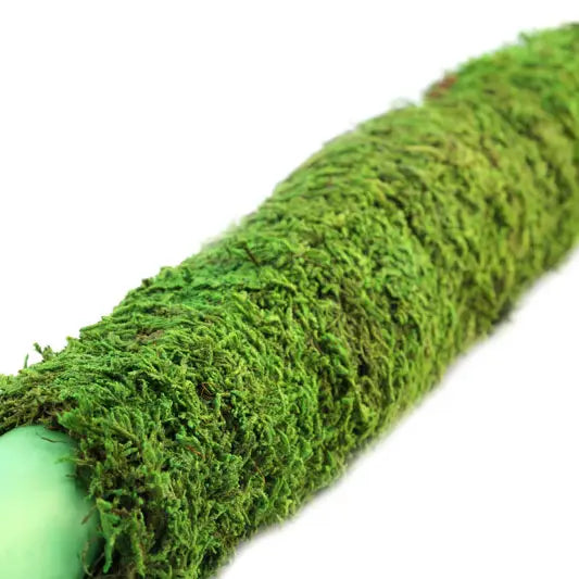 Moss Poles