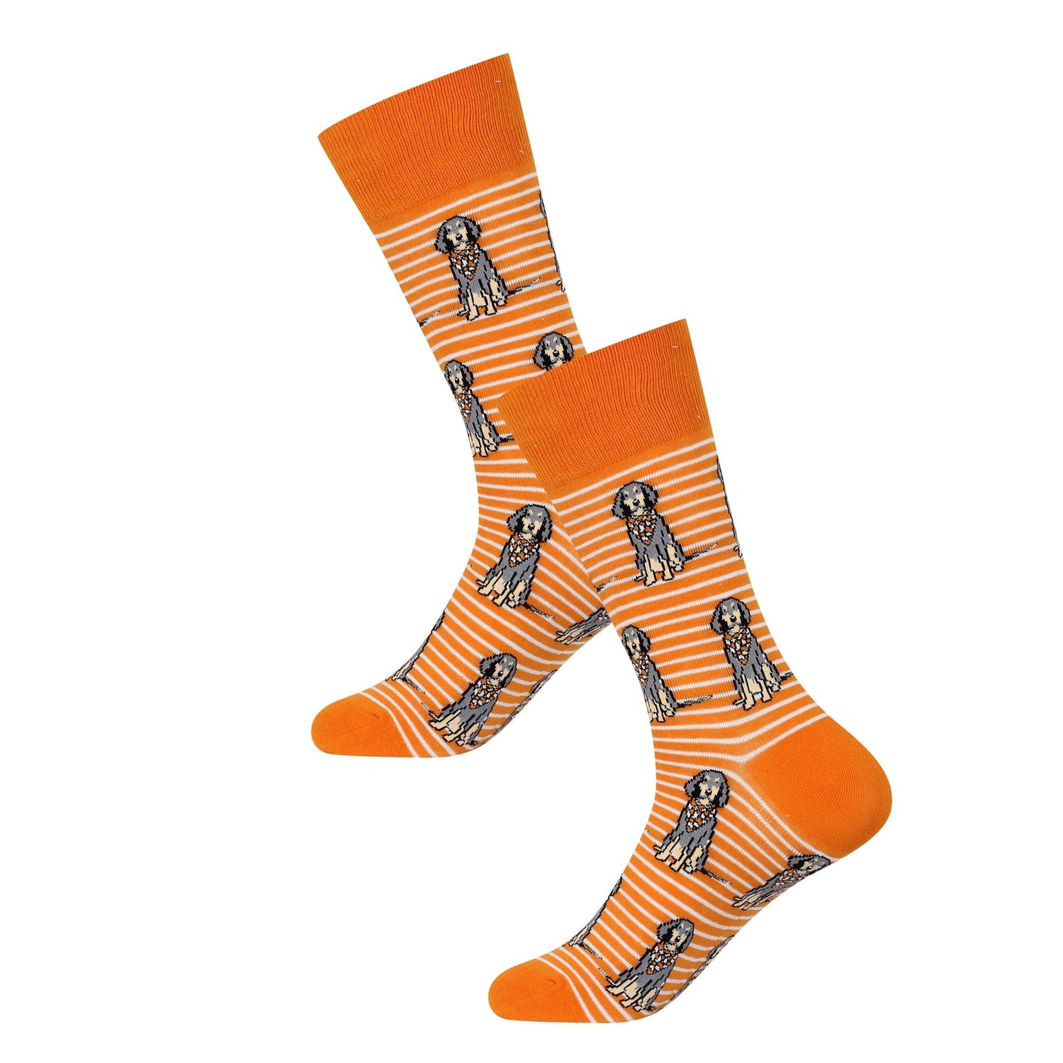 Bluetick Coonhound Socks