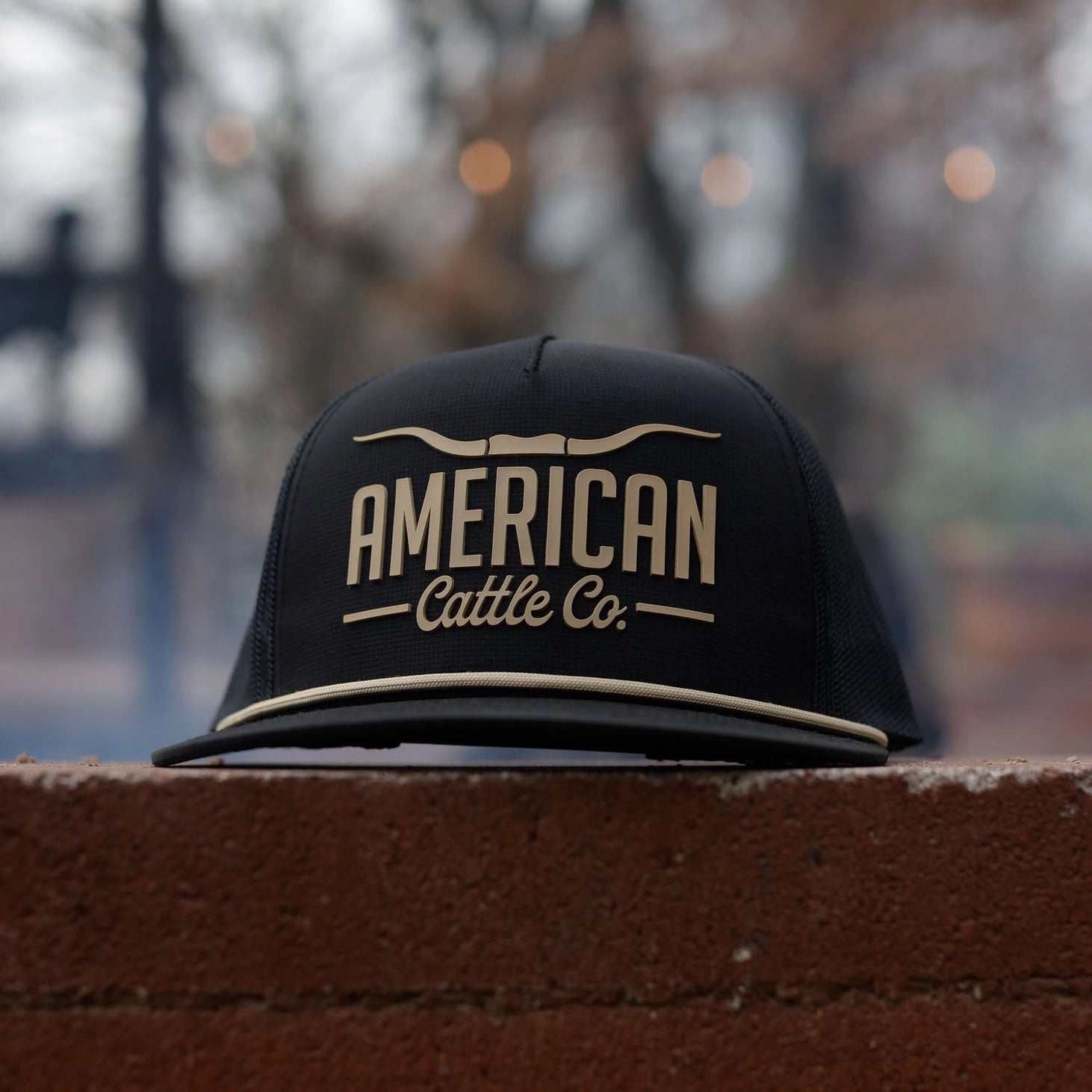 American Cattle Co. Longhorn Hat