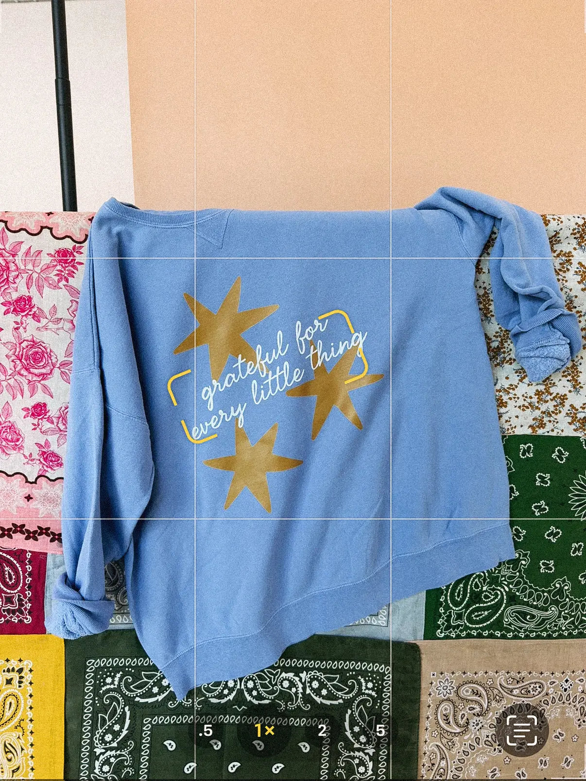 Grateful for Everything Little Thing Sweatshirt