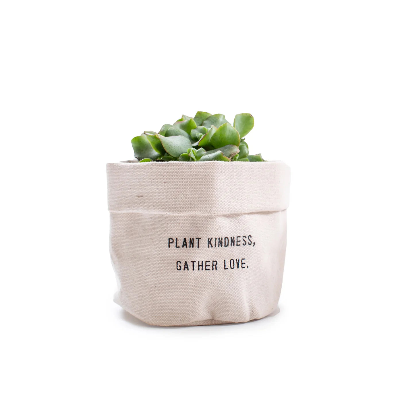 Plant Kindness Canvas Planter