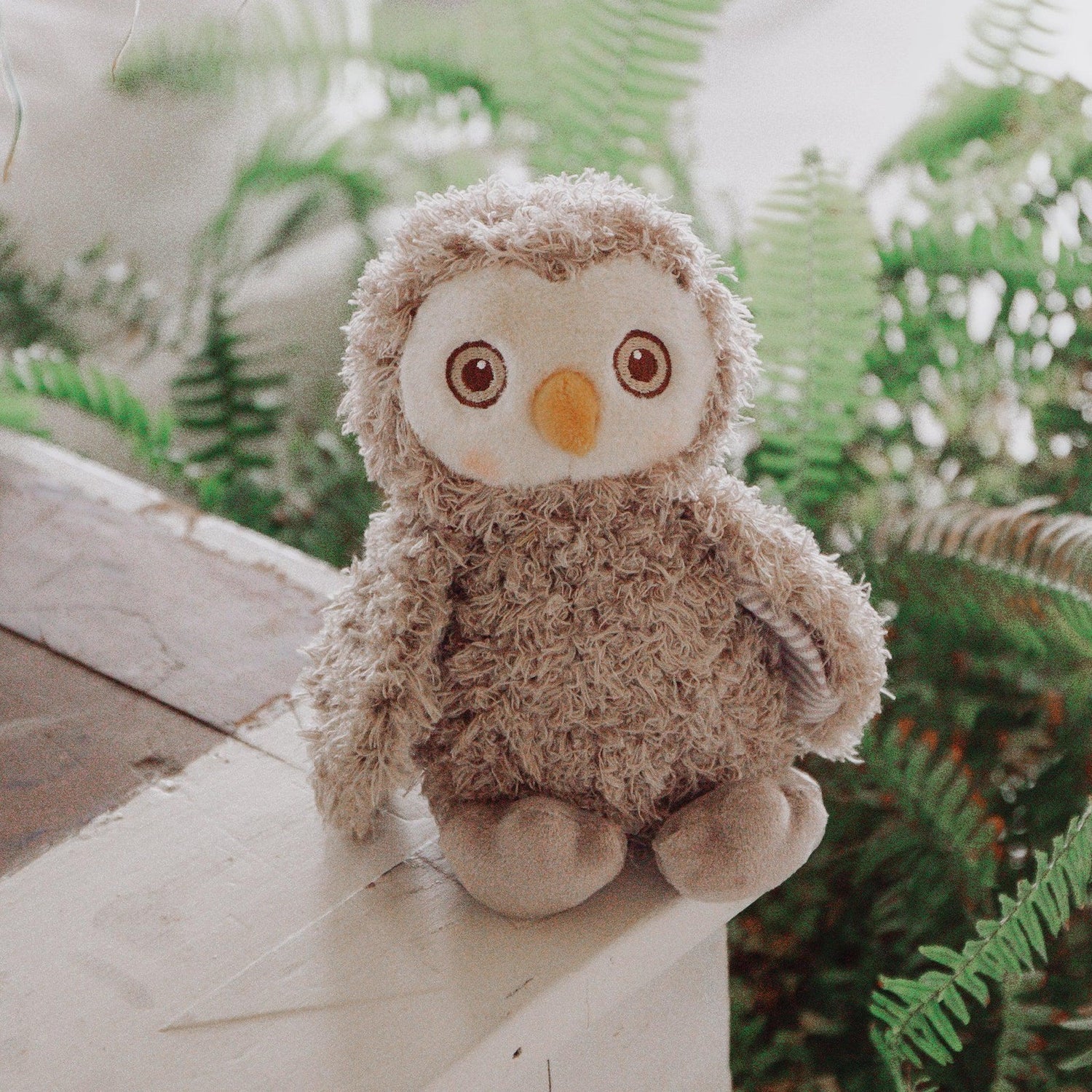 Blink the Owl