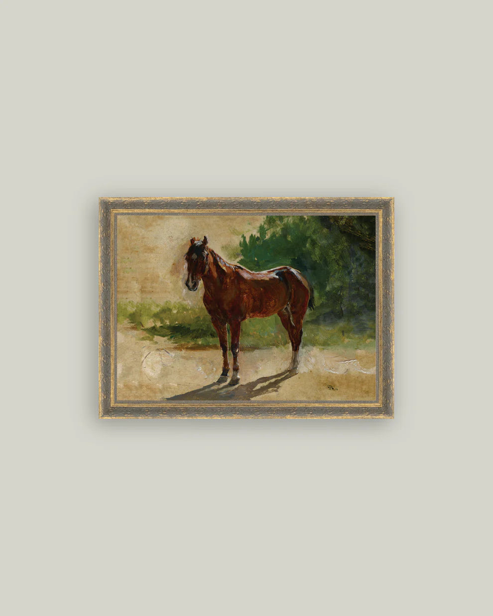 Brown Horse Study Framed Art