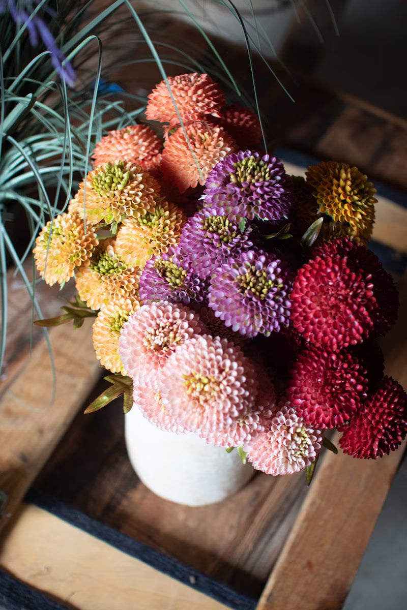 Yellow Dahlia Bundle