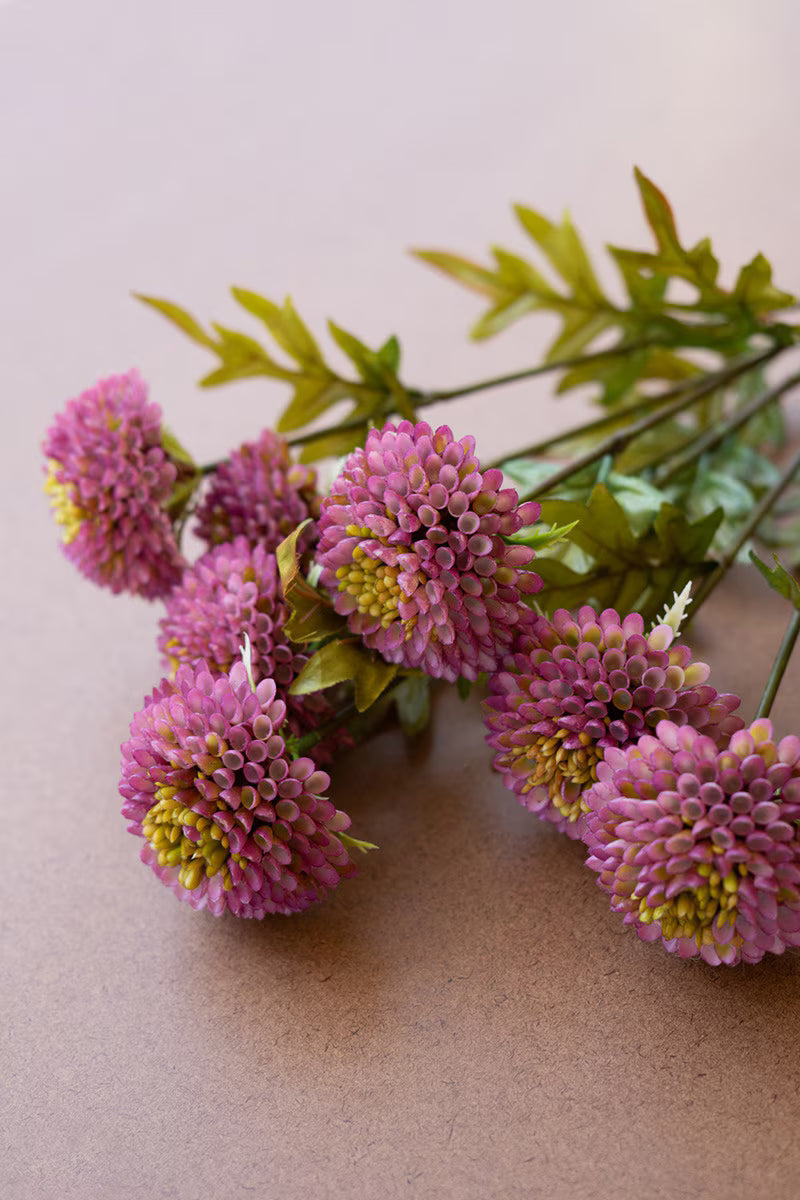 Purple Dahlia Bundle