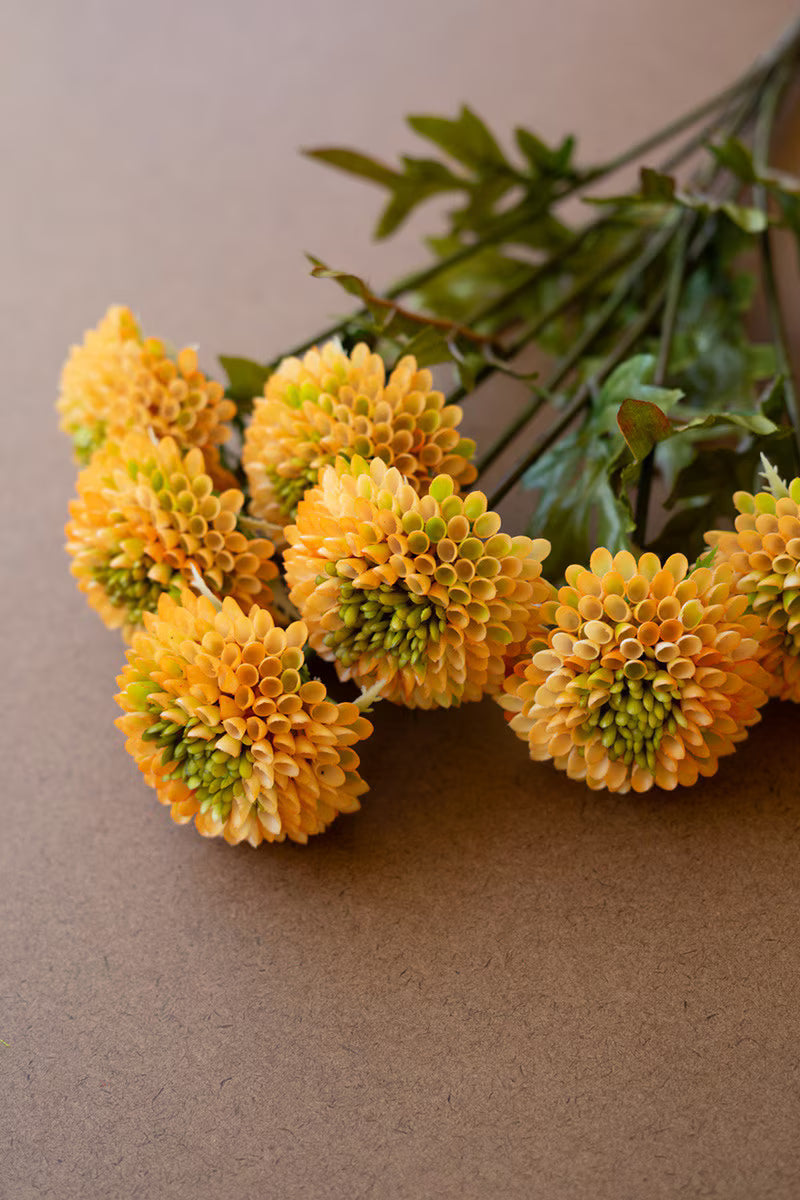 Yellow Dahlia Bundle