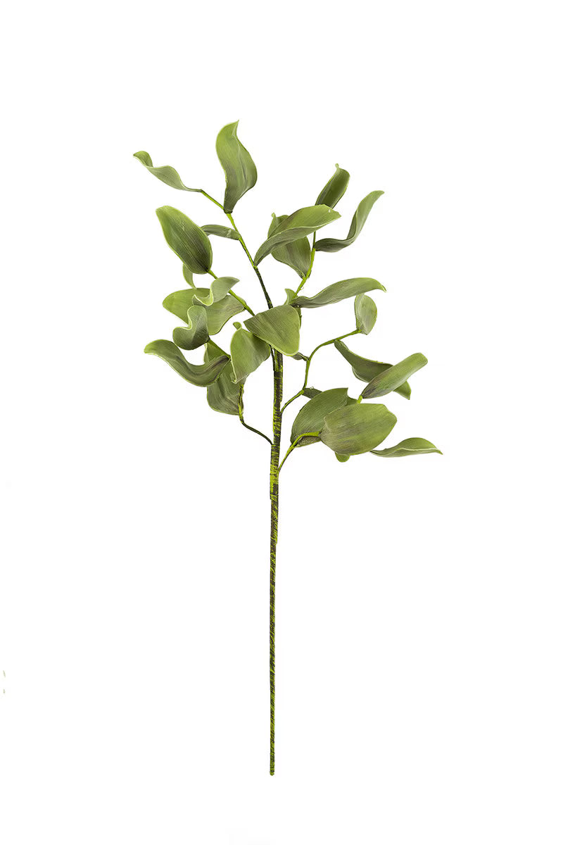 Botanica Leaf Stem