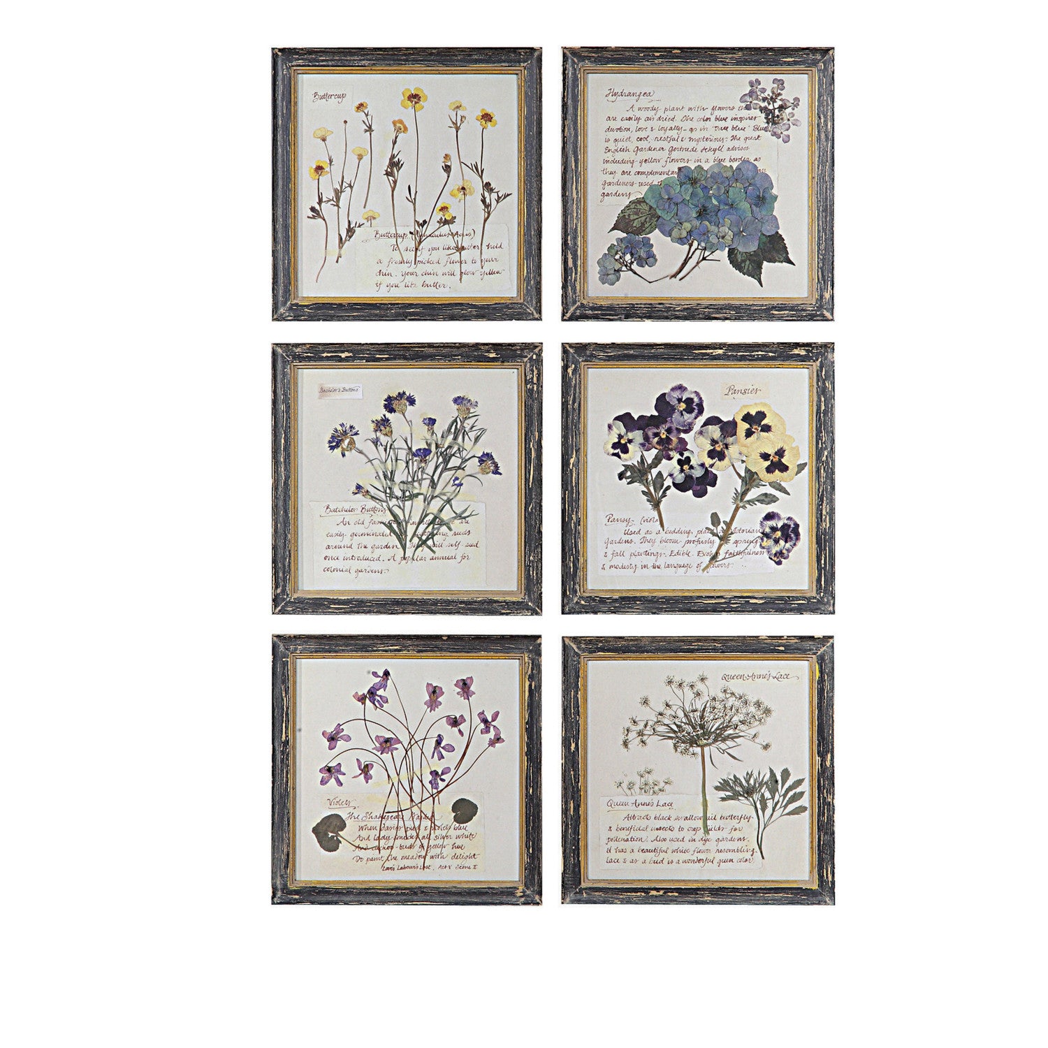 Floral Framed Art