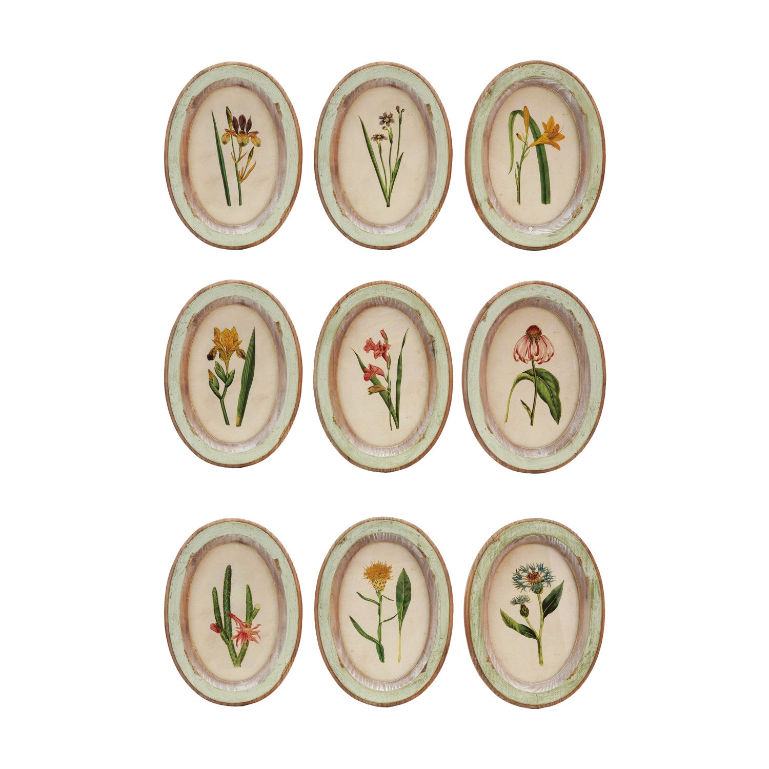 Oval Floral Frames
