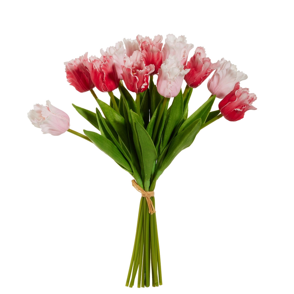 Pink Parrot Tulip Bundle