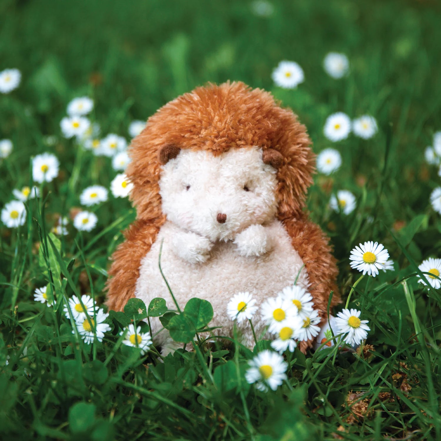 Smidgen the Hedgehog