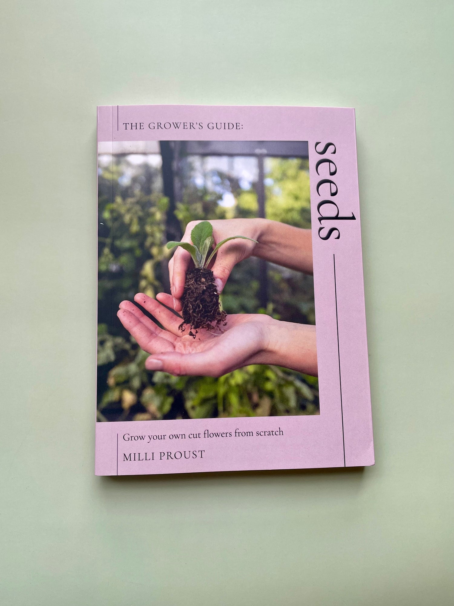 The Growers Guide: Seeds