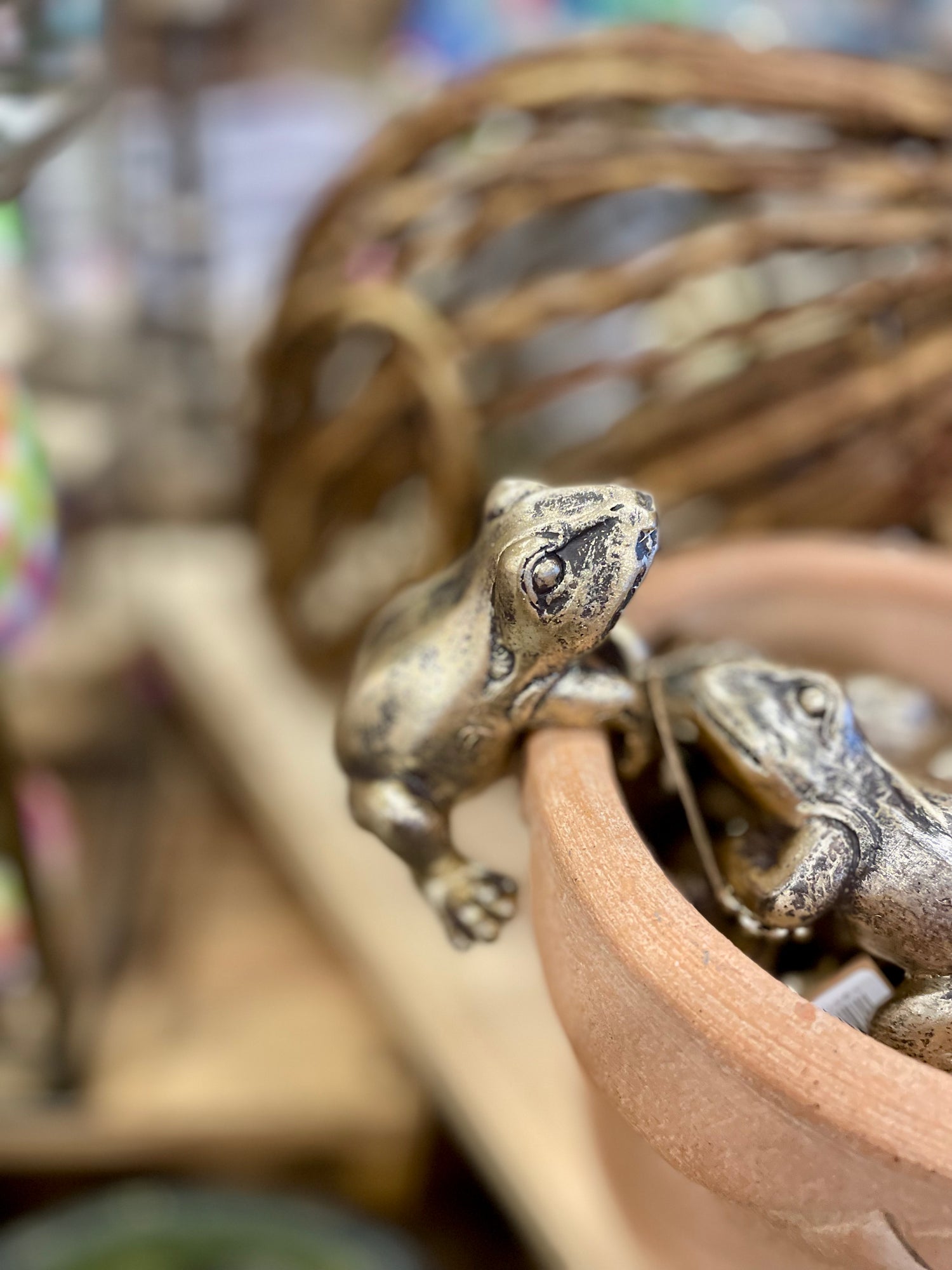 Frog Pot Hanger
