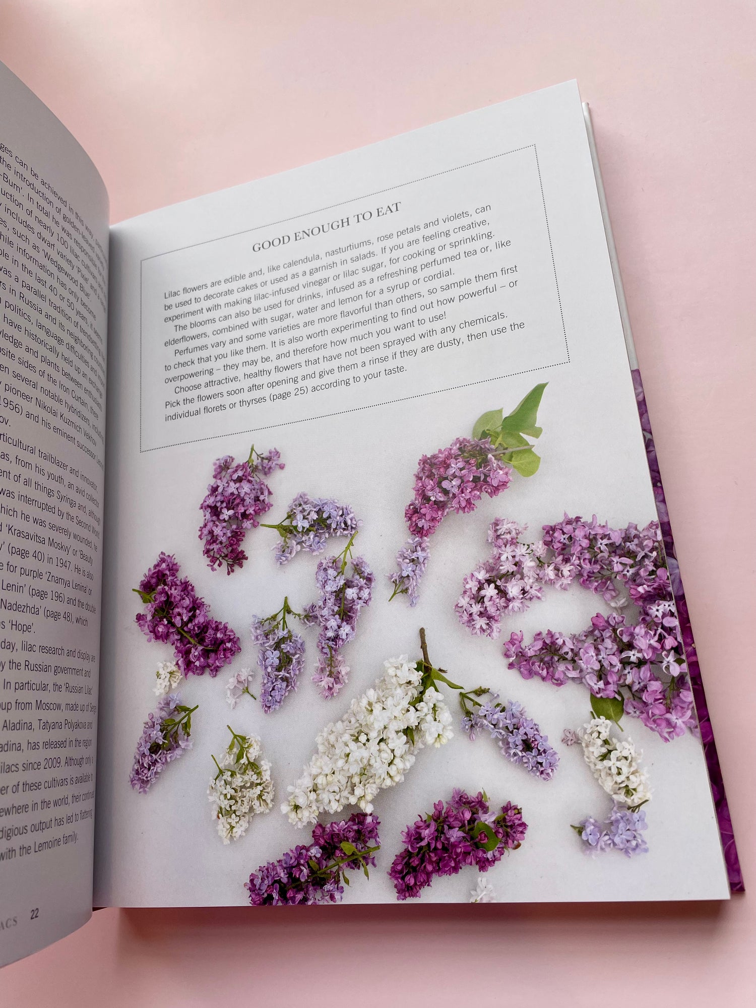 Lilacs Book