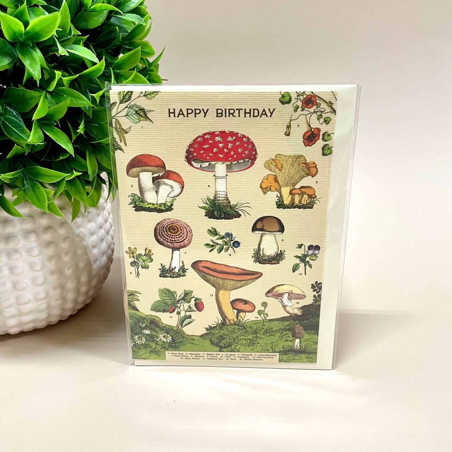 Happy Birthday Mushroom Greeting Card