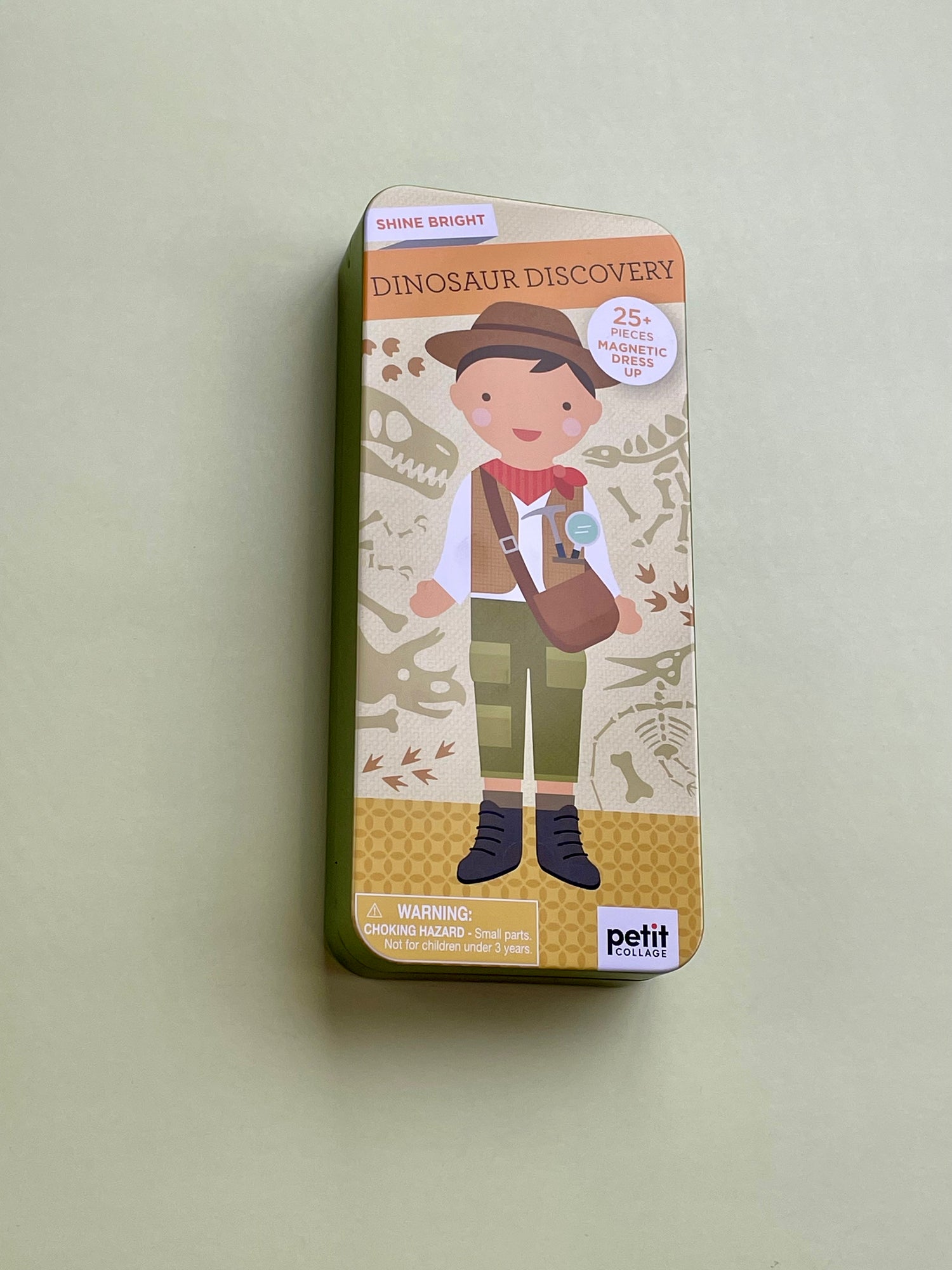 Dinosaur Discovery Magnetic Dress Up Shine Bright