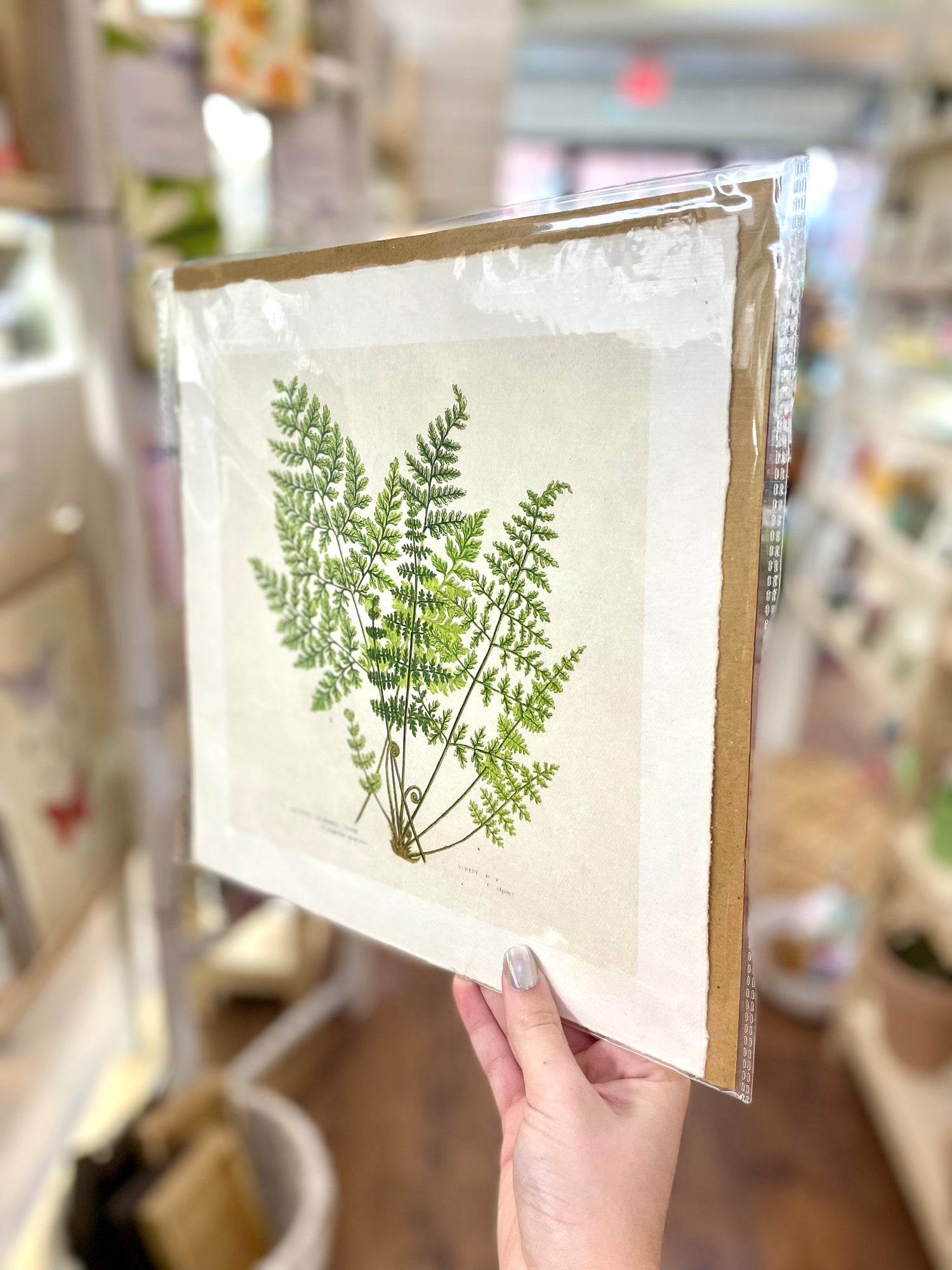 Fern Bunch Wall Paper Print