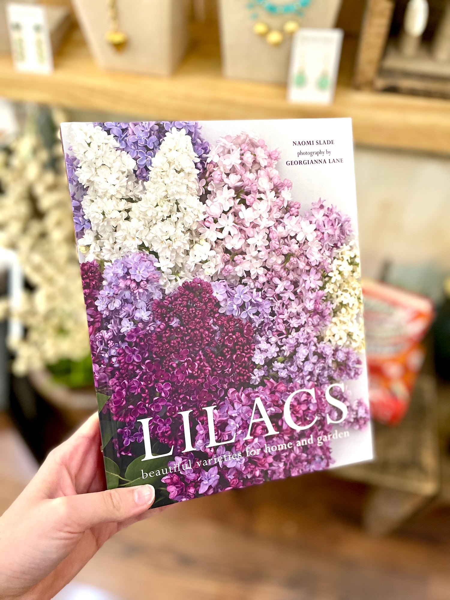 Lilacs