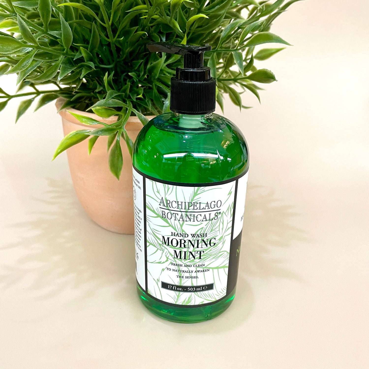 Archipelago Mint HandWash 17oz