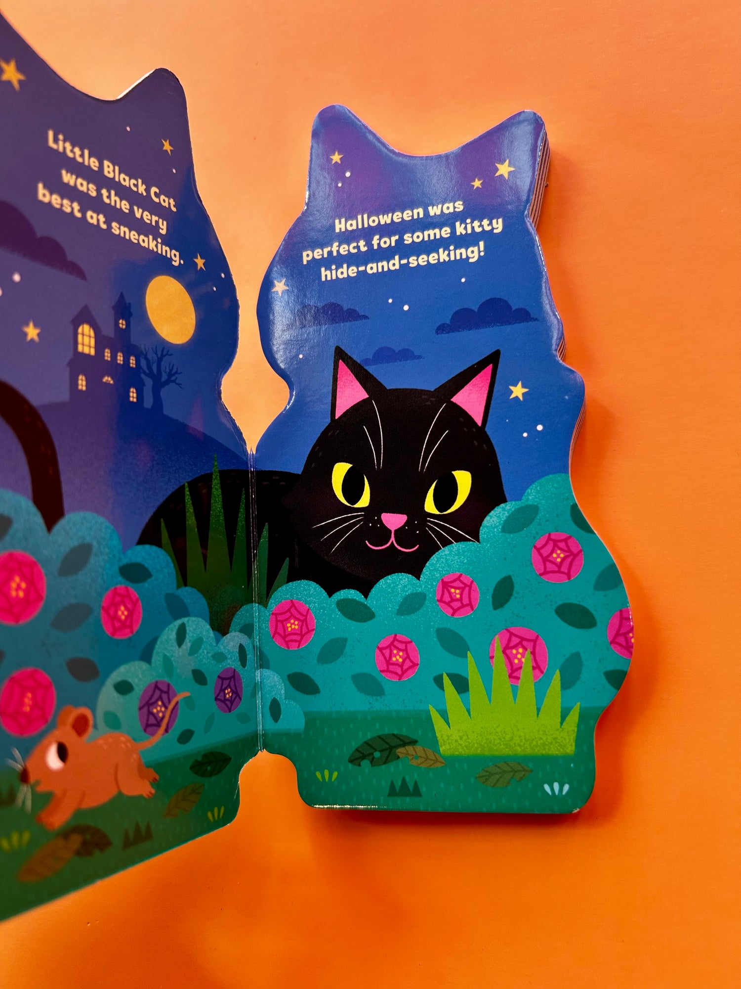 Little Cat Board Book