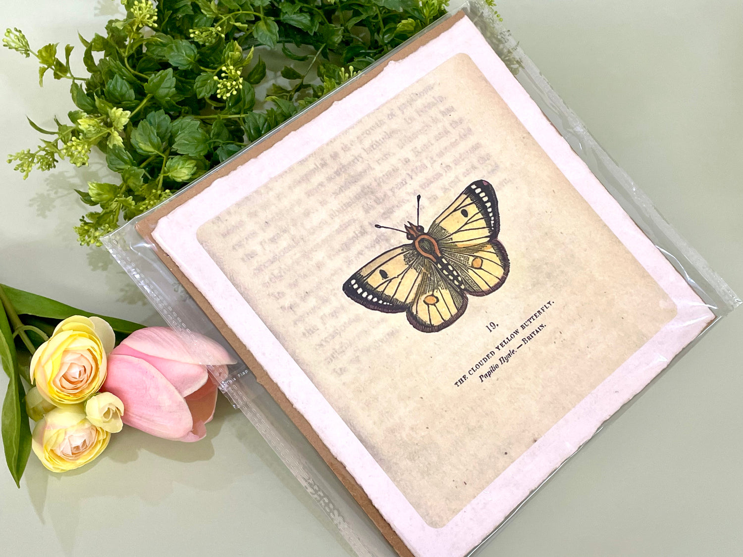 Yellow Butterfly Wall Paper Print