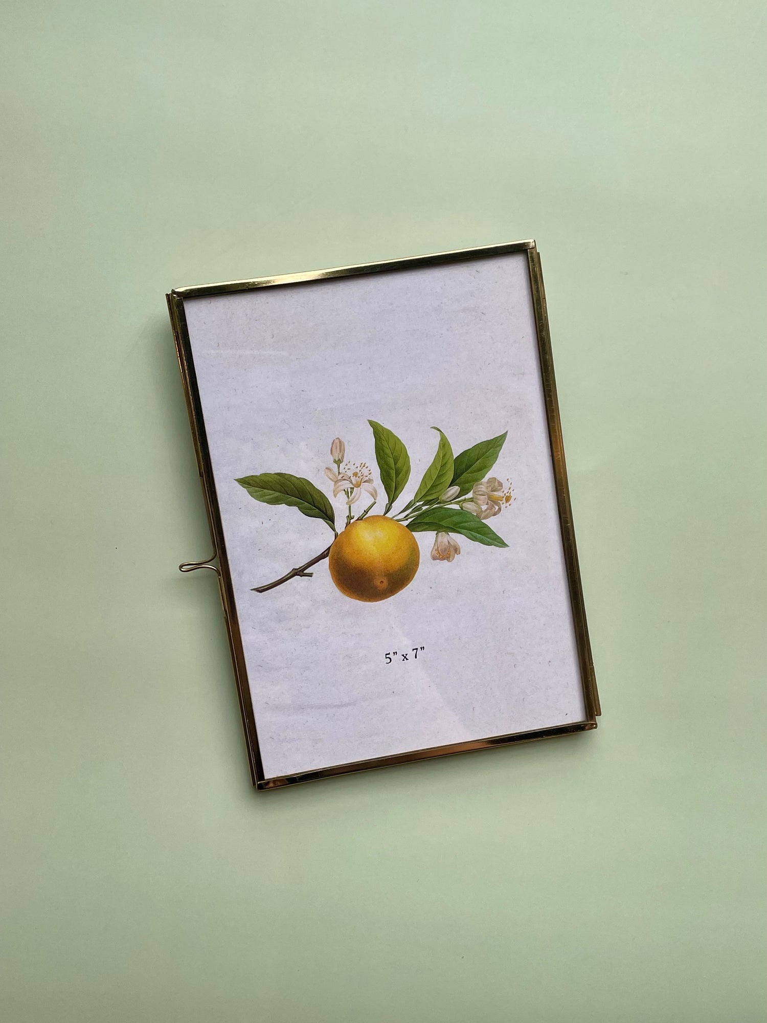 Brass and Glass Photo Frame