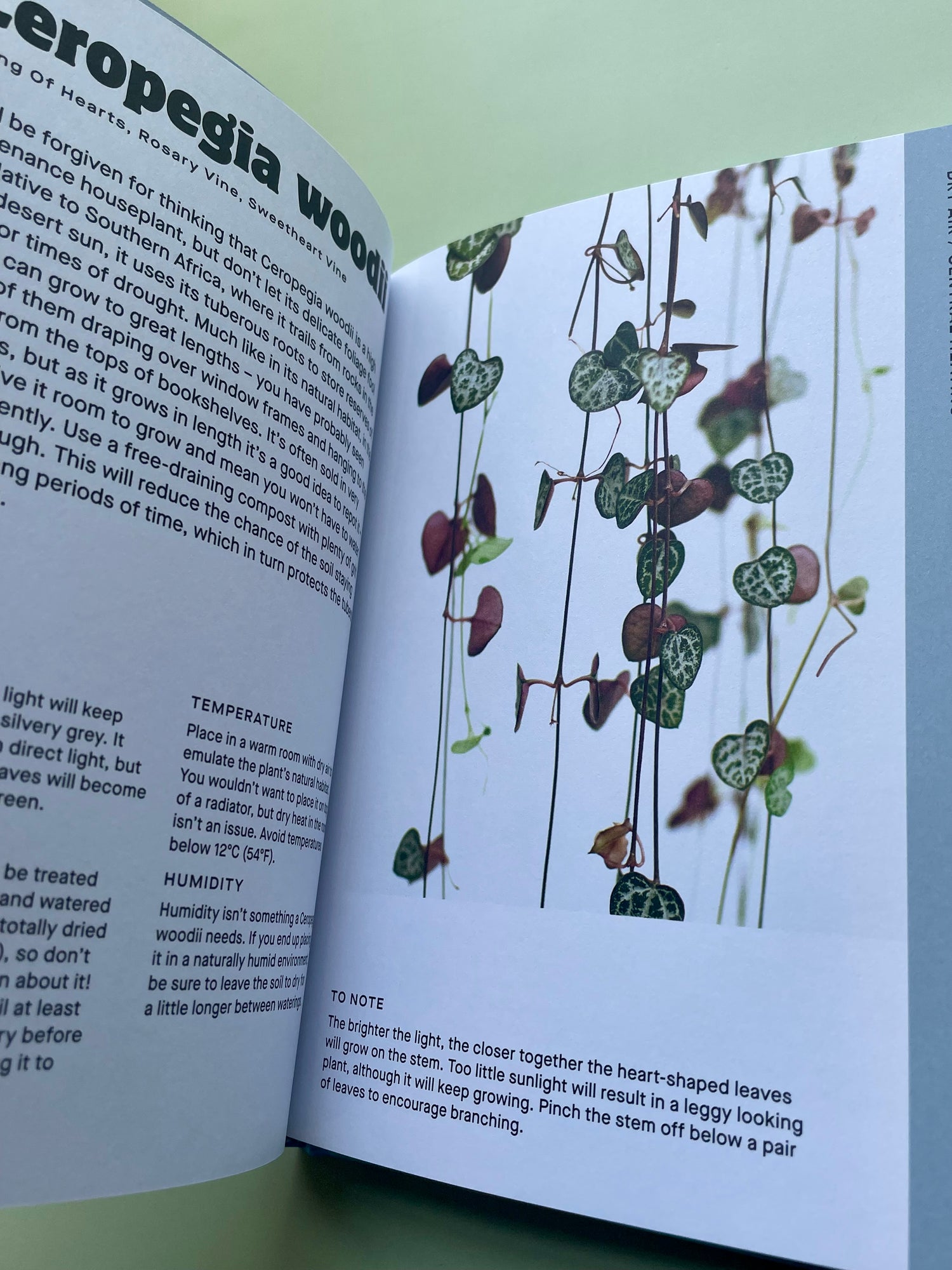 Houseplants Handbook