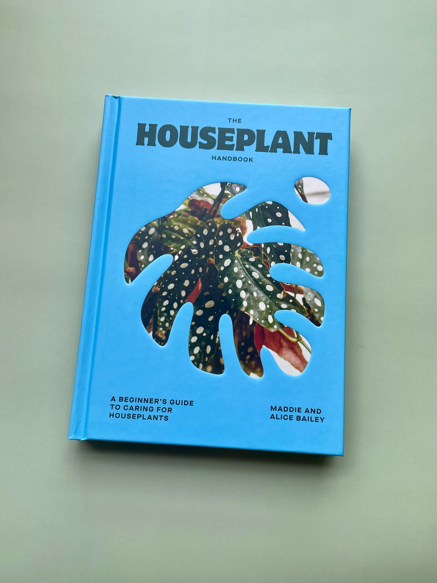 Houseplants Handbook