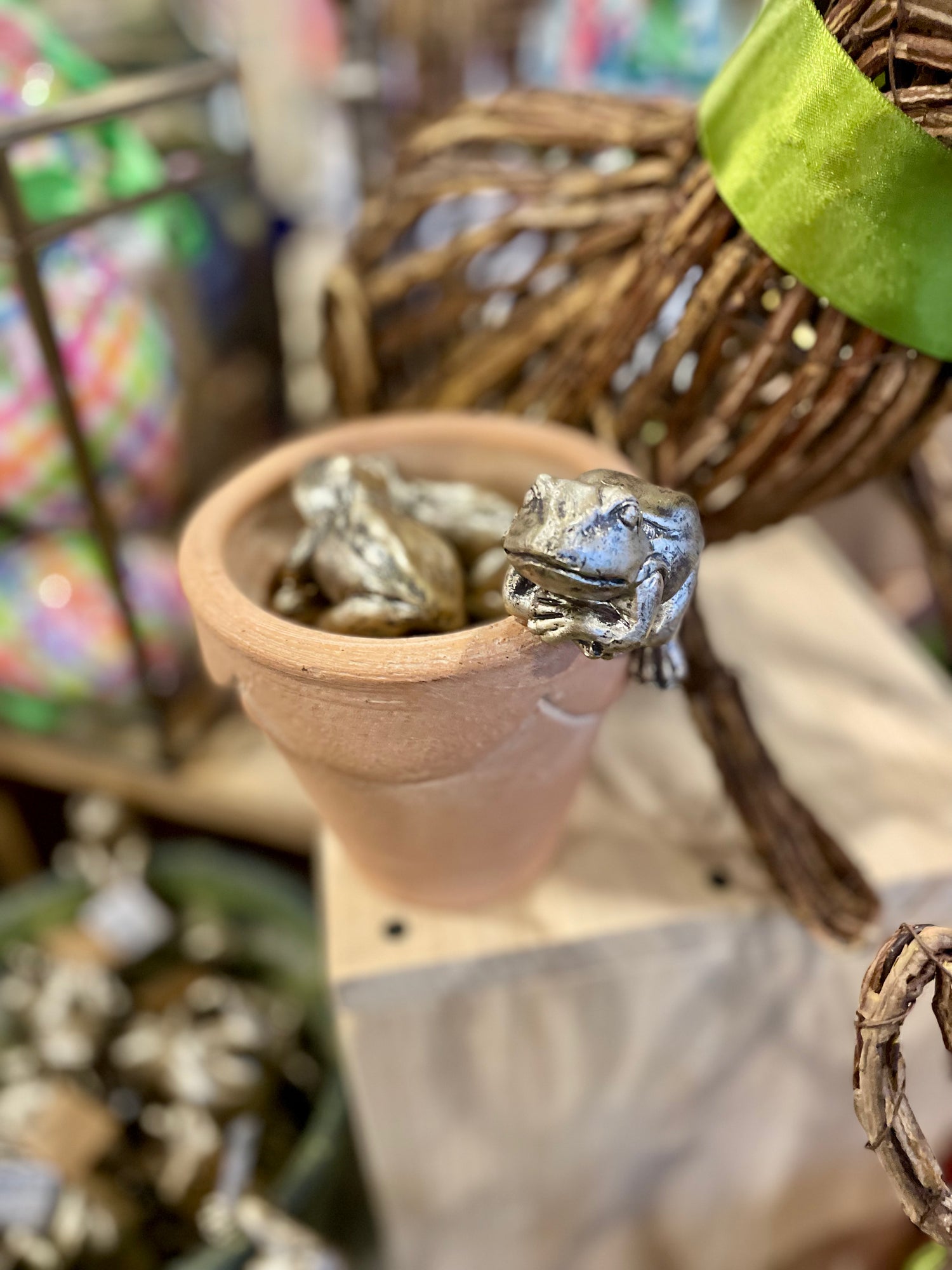 Frog Pot Hanger