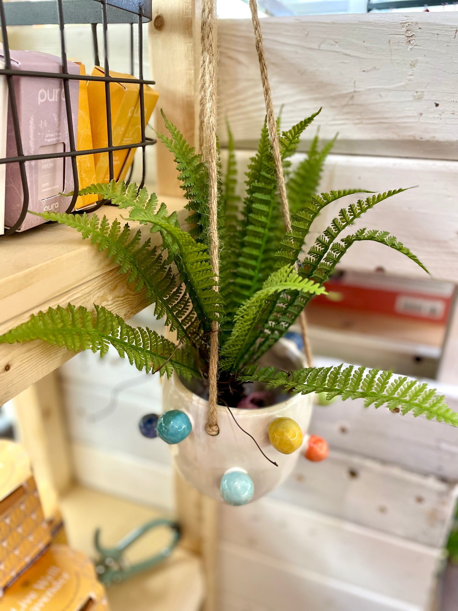 Planter Hanging Colorful Bubbles