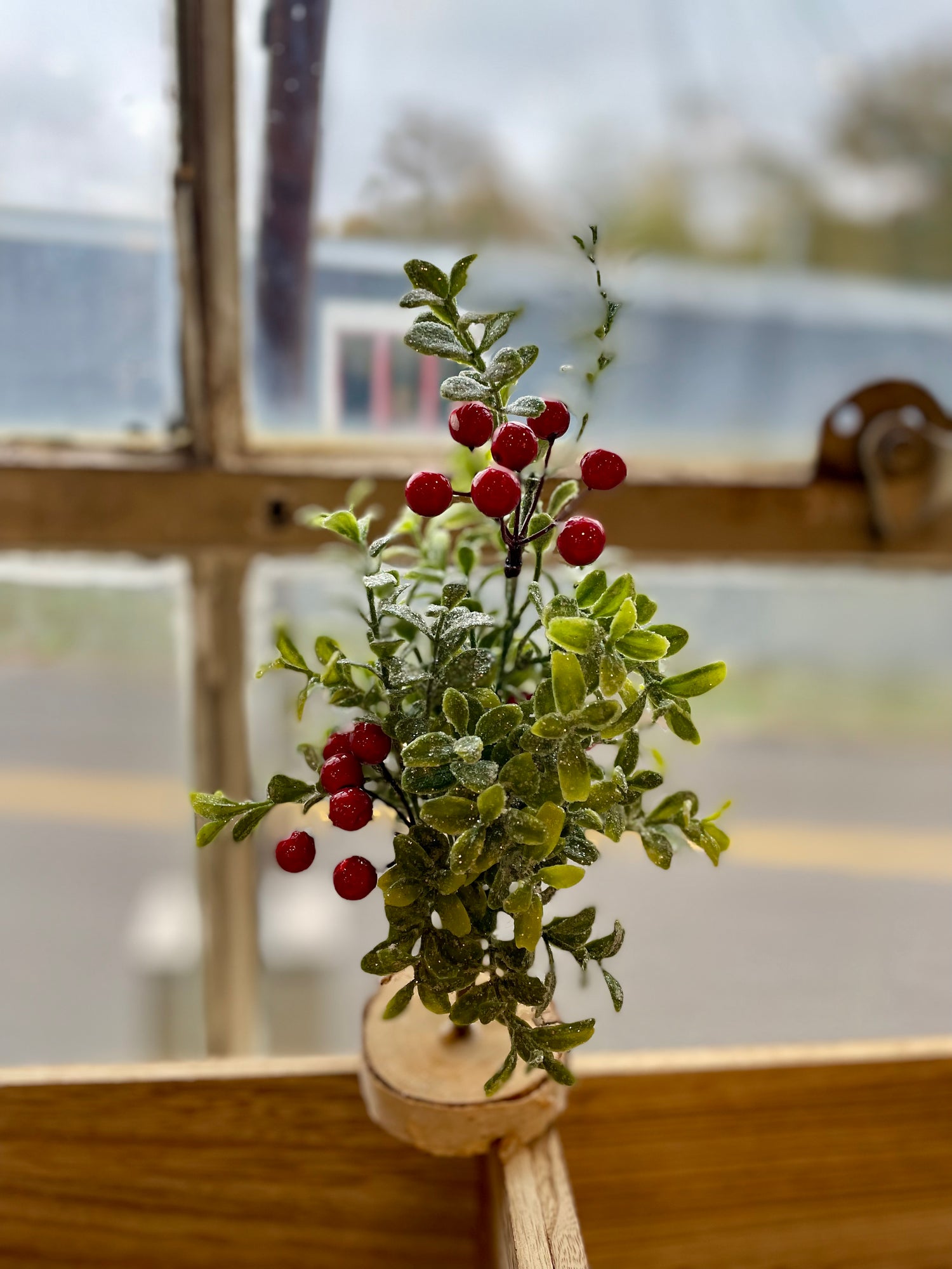 Tree with Holly Berries
