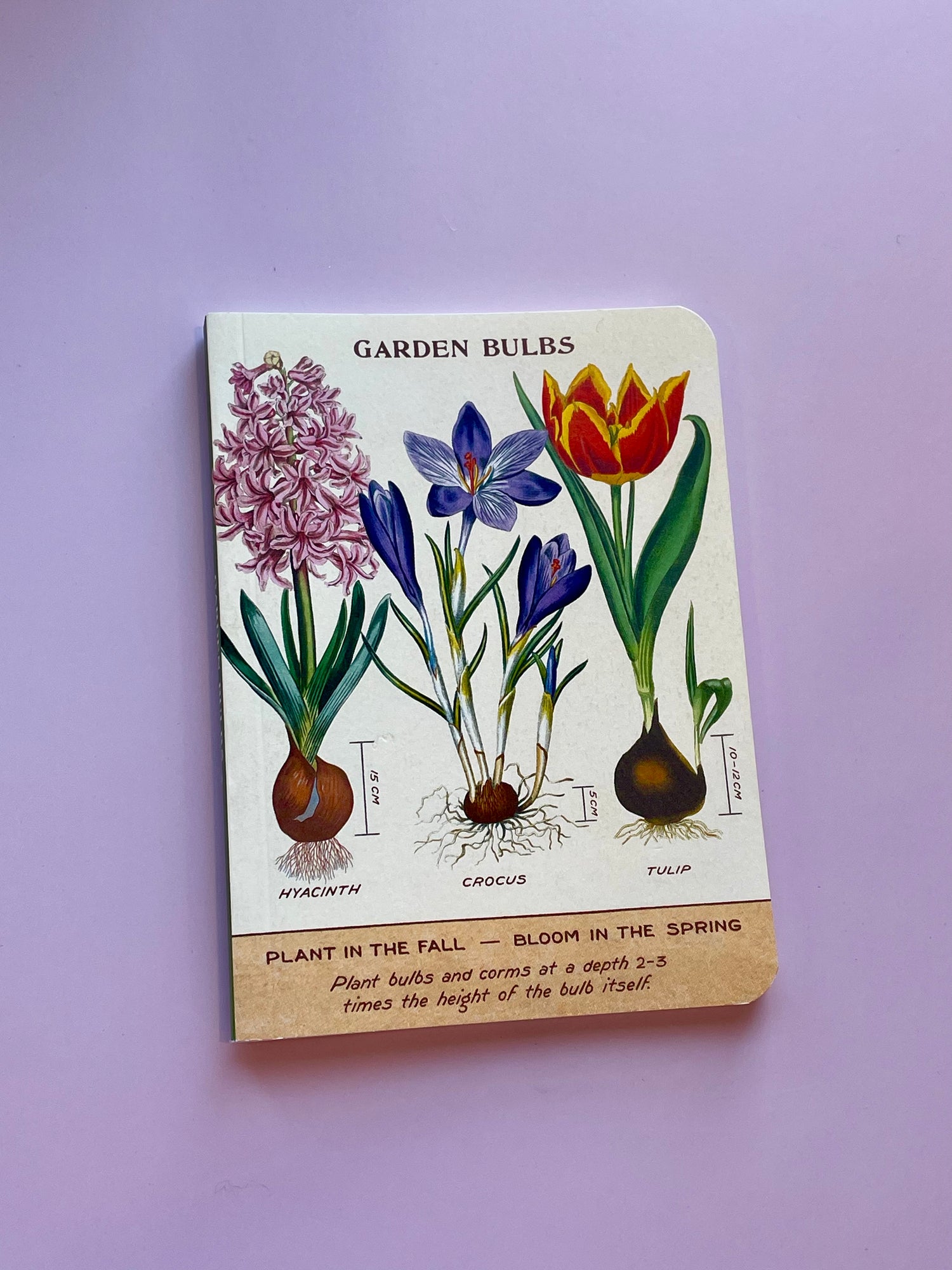 Notebook Mini Cavallini