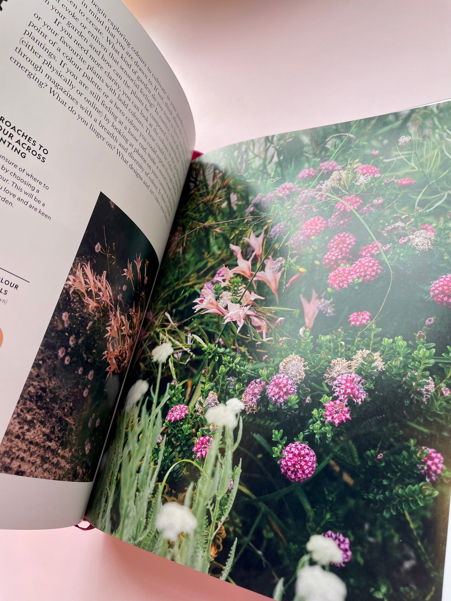 Flower Power : Designing Gardens for Year-Round Wonder