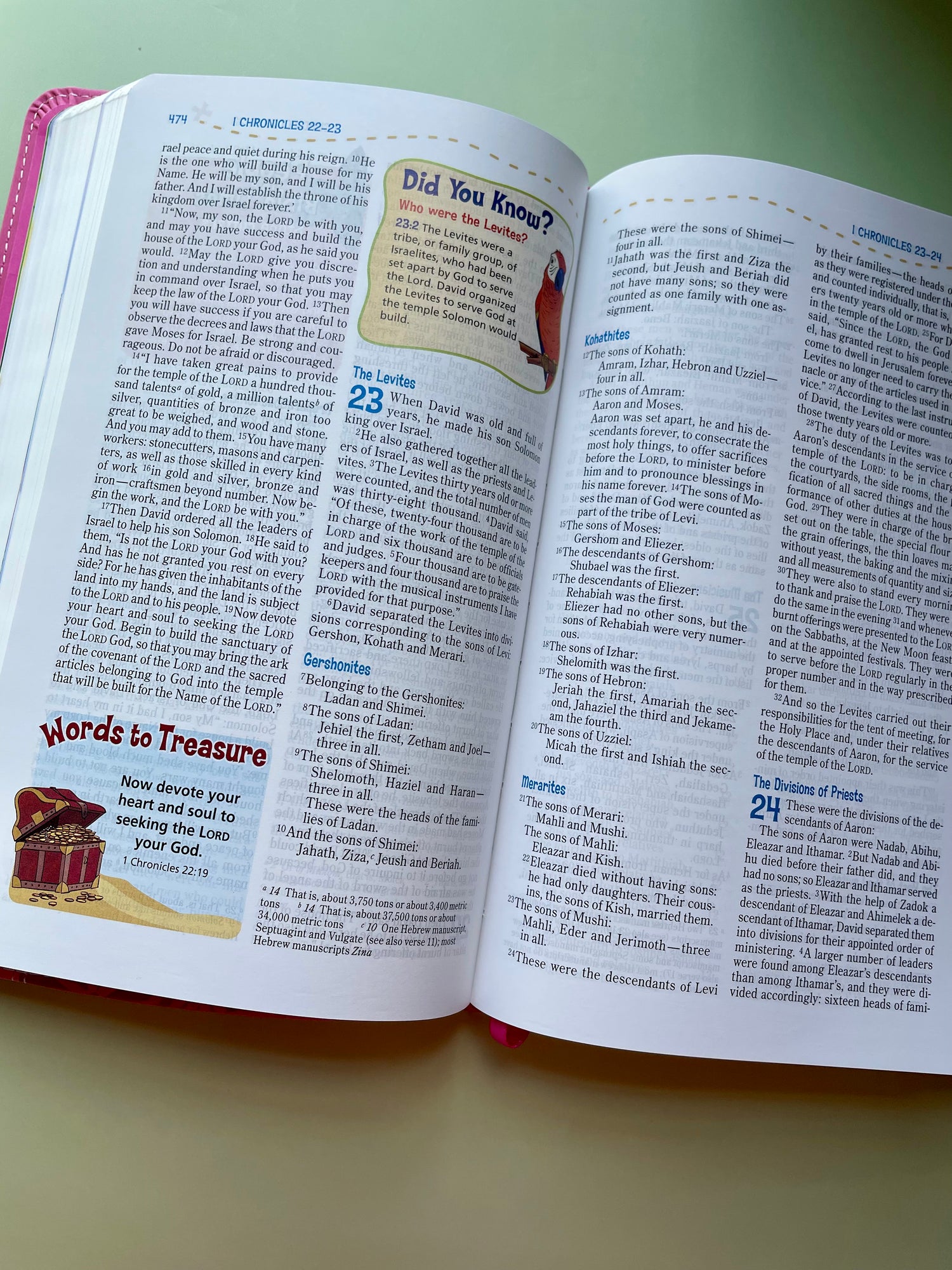 NIV Pink Adventure Bible