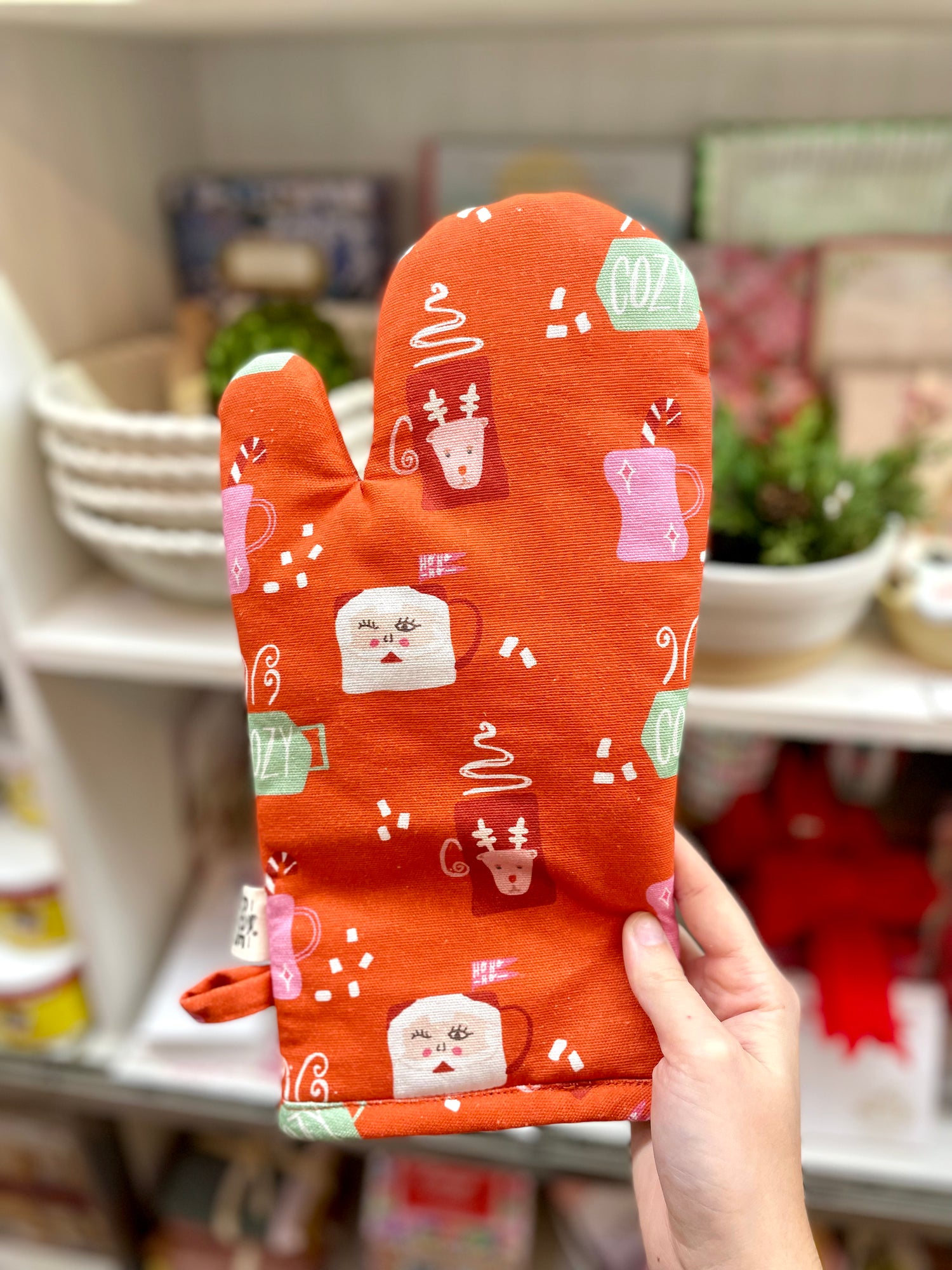 Oven Mitt