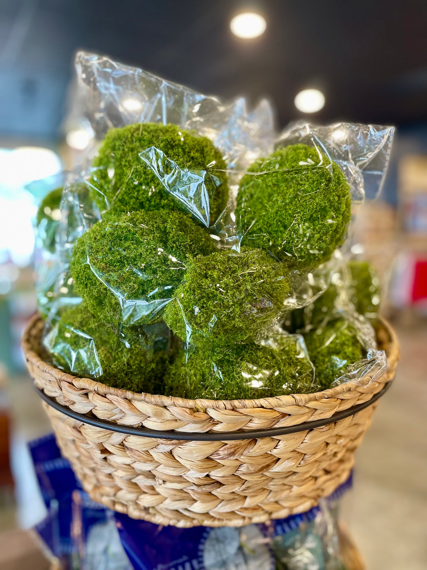 Set of Moss Balls